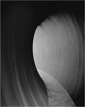 Richard Serra 2014